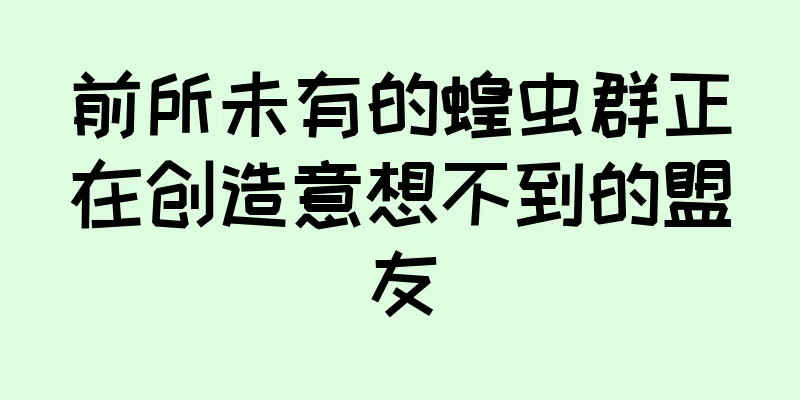 前所未有的蝗虫群正在创造意想不到的盟友