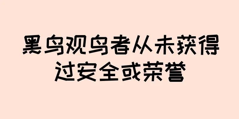 黑鸟观鸟者从未获得过安全或荣誉