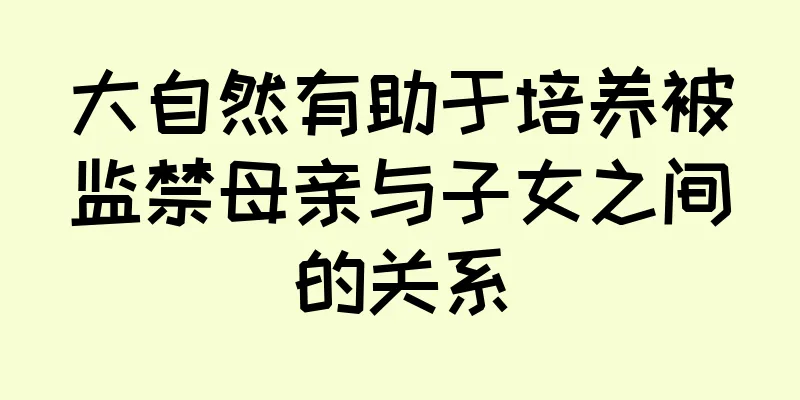 大自然有助于培养被监禁母亲与子女之间的关系
