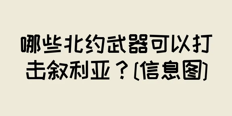 哪些北约武器可以打击叙利亚？[信息图]
