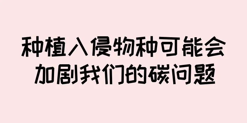 种植入侵物种可能会加剧我们的碳问题