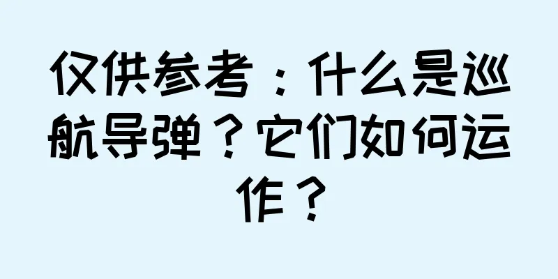 仅供参考：什么是巡航导弹？它们如何运作？