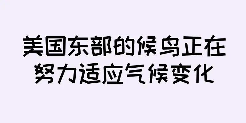 美国东部的候鸟正在努力适应气候变化