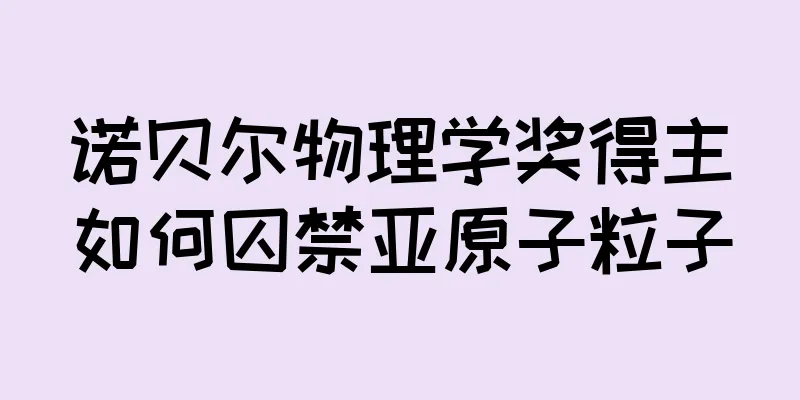 诺贝尔物理学奖得主如何囚禁亚原子粒子