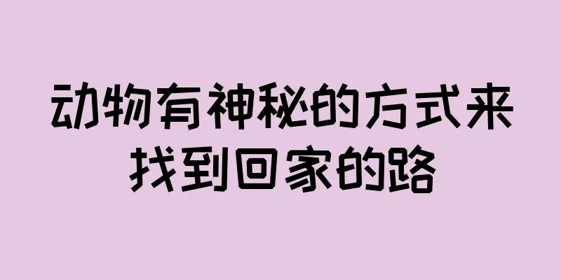 动物有神秘的方式来找到回家的路