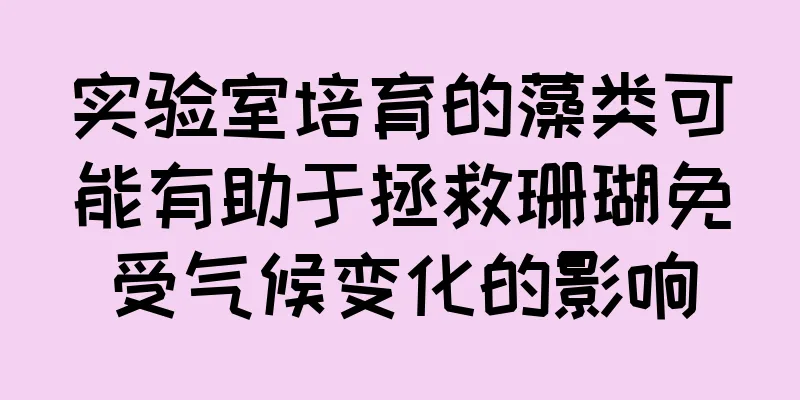实验室培育的藻类可能有助于拯救珊瑚免受气候变化的影响