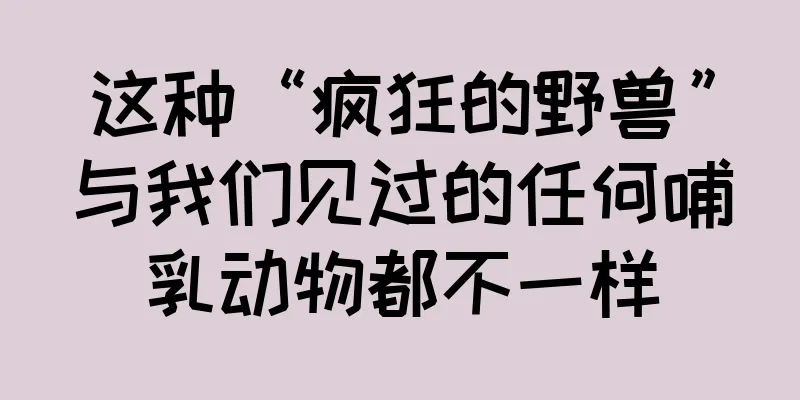 这种“疯狂的野兽”与我们见过的任何哺乳动物都不一样