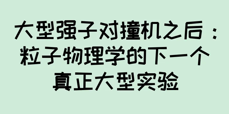大型强子对撞机之后：粒子物理学的下一个真正大型实验