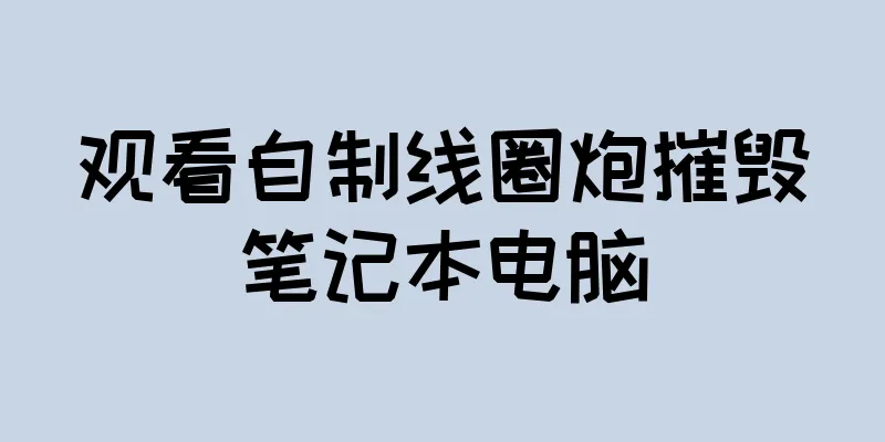 观看自制线圈炮摧毁笔记本电脑