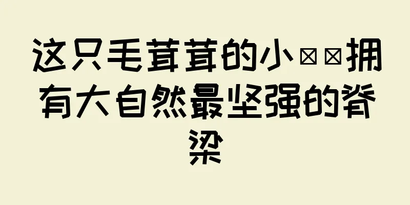 这只毛茸茸的小鼩鼱拥有大自然最坚强的脊梁
