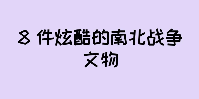 8 件炫酷的南北战争文物