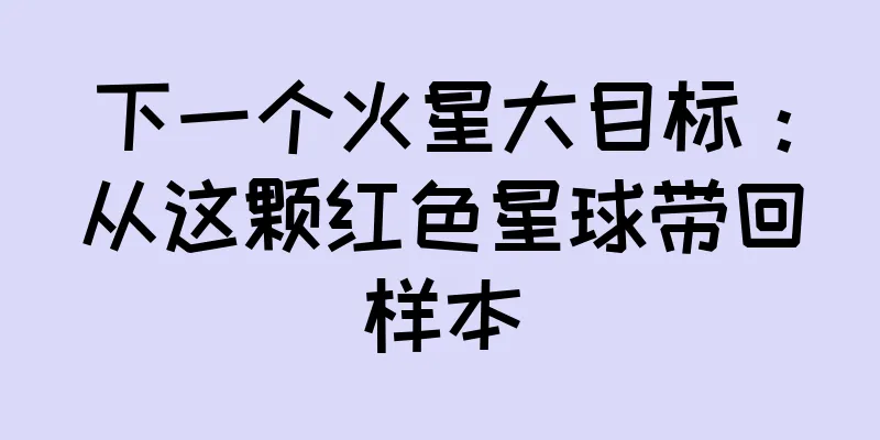 下一个火星大目标：从这颗红色星球带回样本