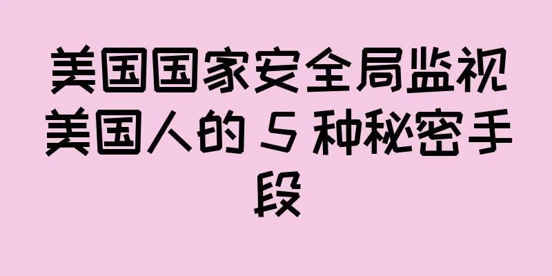 美国国家安全局监视美国人的 5 种秘密手段