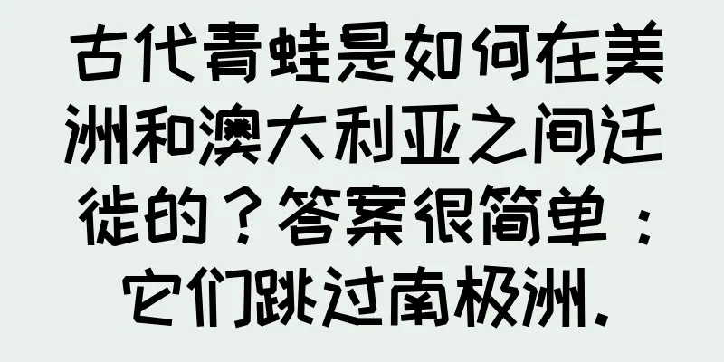 古代青蛙是如何在美洲和澳大利亚之间迁徙的？答案很简单：它们跳过南极洲。