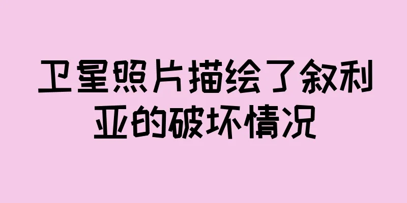卫星照片描绘了叙利亚的破坏情况