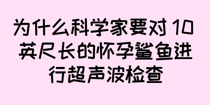 为什么科学家要对 10 英尺长的怀孕鲨鱼进行超声波检查