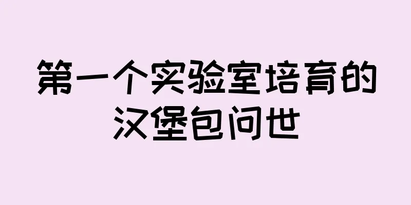 第一个实验室培育的汉堡包问世