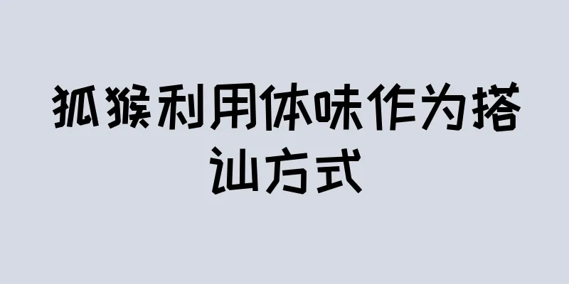 狐猴利用体味作为搭讪方式