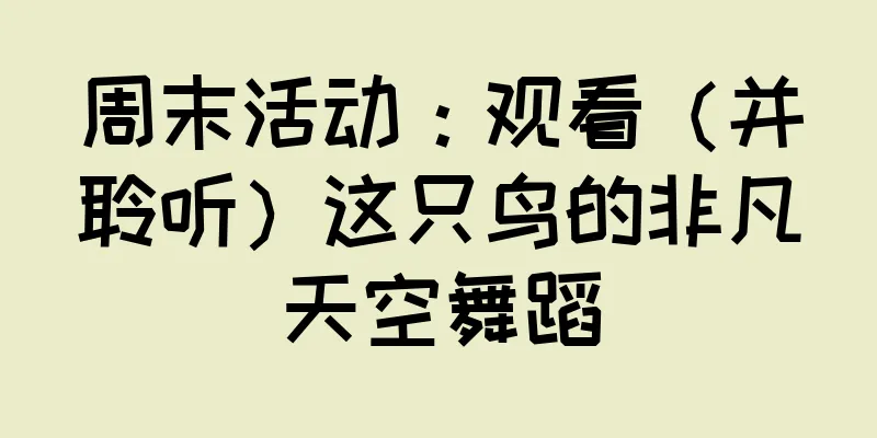 周末活动：观看（并聆听）这只鸟的非凡天空舞蹈