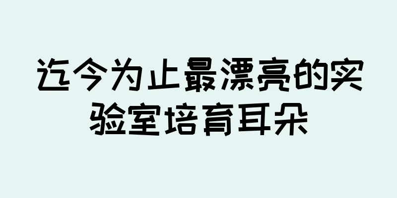 迄今为止最漂亮的实验室培育耳朵