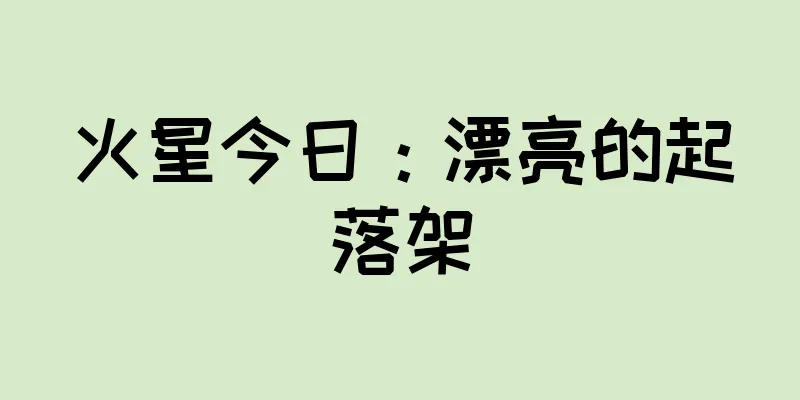 火星今日：漂亮的起落架