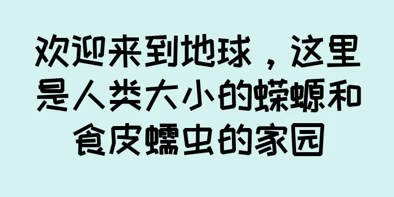 欢迎来到地球，这里是人类大小的蝾螈和食皮蠕虫的家园