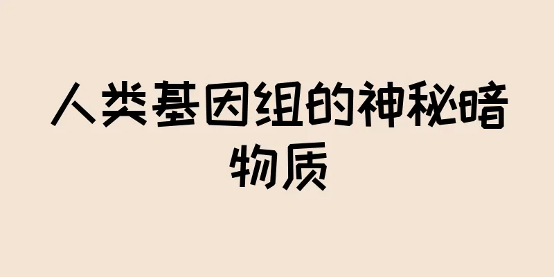 人类基因组的神秘暗物质