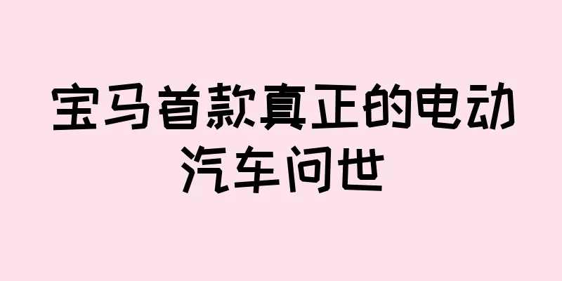 宝马首款真正的电动汽车问世