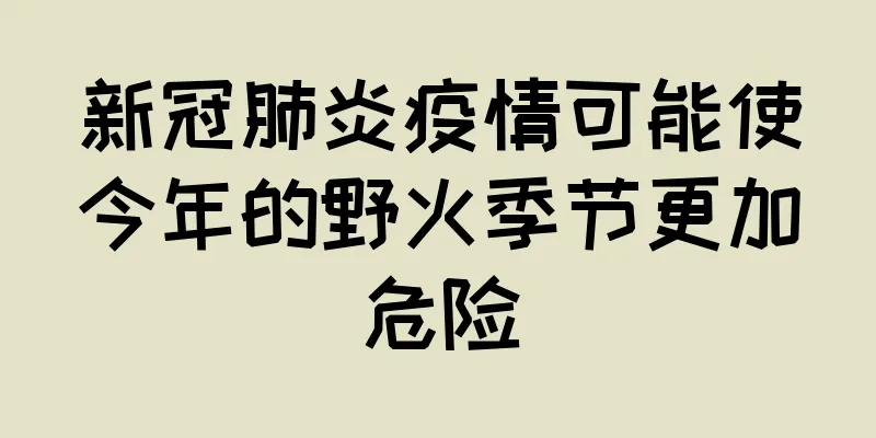 新冠肺炎疫情可能使今年的野火季节更加危险