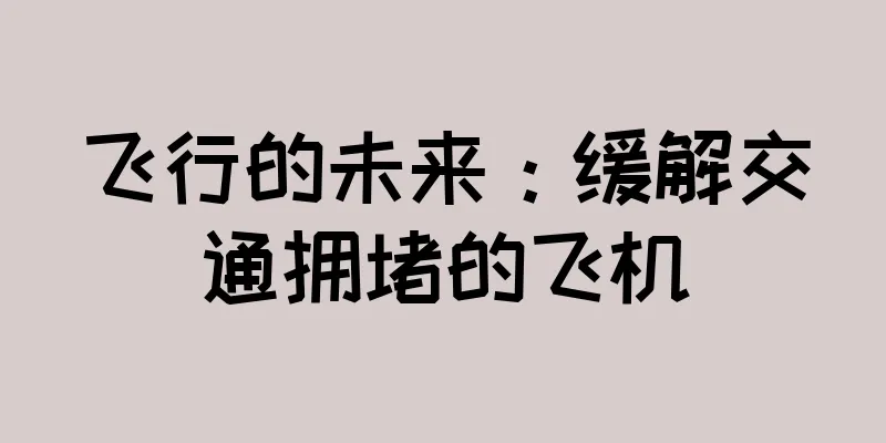 飞行的未来：缓解交通拥堵的飞机