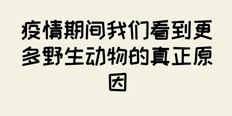 疫情期间我们看到更多野生动物的真正原因