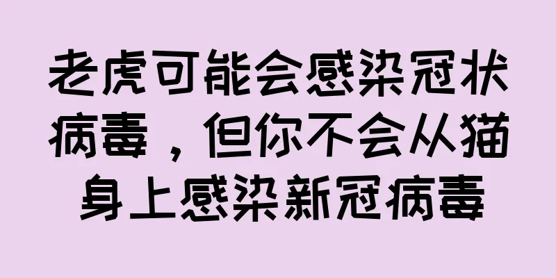 老虎可能会感染冠状病毒，但你不会从猫身上感染新冠病毒
