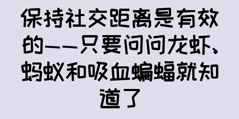 保持社交距离是有效的——只要问问龙虾、蚂蚁和吸血蝙蝠就知道了