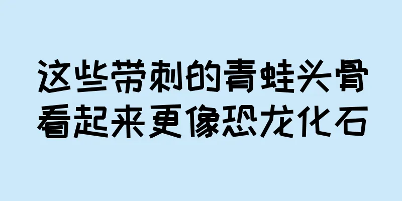 这些带刺的青蛙头骨看起来更像恐龙化石