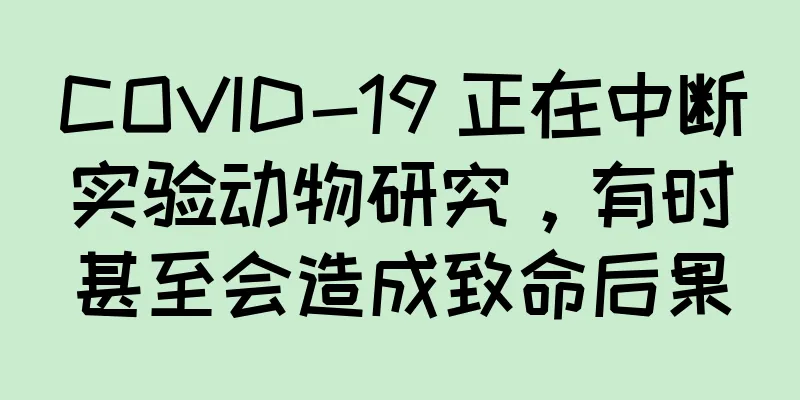 COVID-19 正在中断实验动物研究，有时甚至会造成致命后果