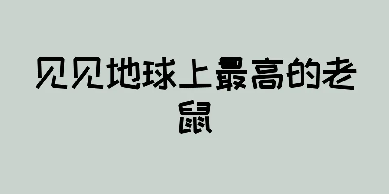 见见地球上最高的老鼠