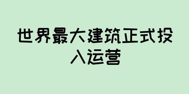 世界最大建筑正式投入运营