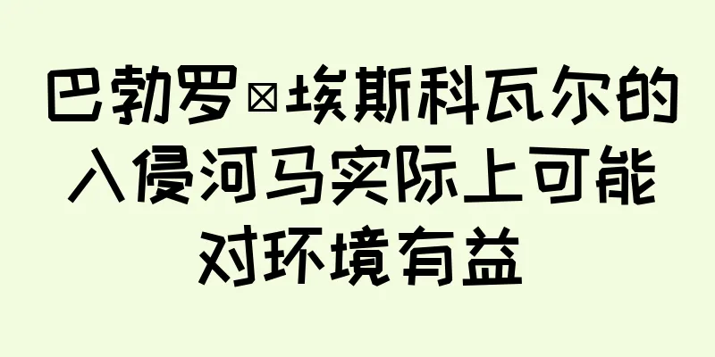 巴勃罗·埃斯科瓦尔的入侵河马实际上可能对环境有益