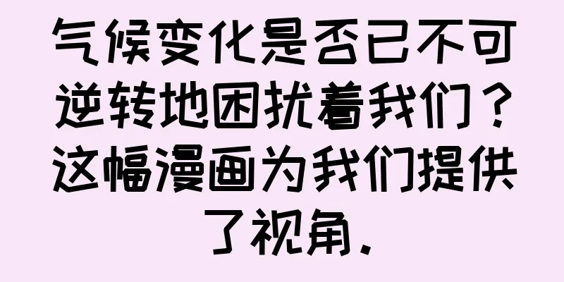气候变化是否已不可逆转地困扰着我们？这幅漫画为我们提供了视角。