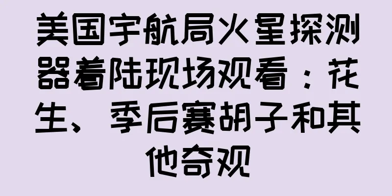 美国宇航局火星探测器着陆现场观看：花生、季后赛胡子和其他奇观