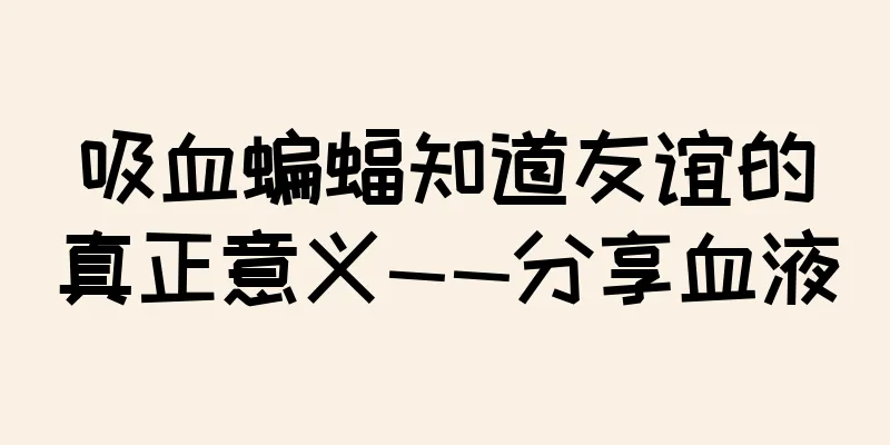 吸血蝙蝠知道友谊的真正意义——分享血液