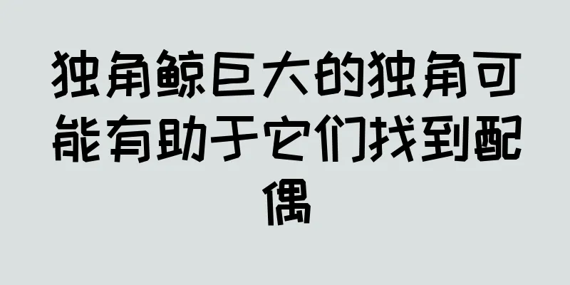 独角鲸巨大的独角可能有助于它们找到配偶