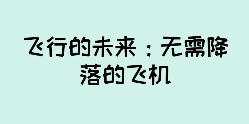 飞行的未来：无需降落的飞机