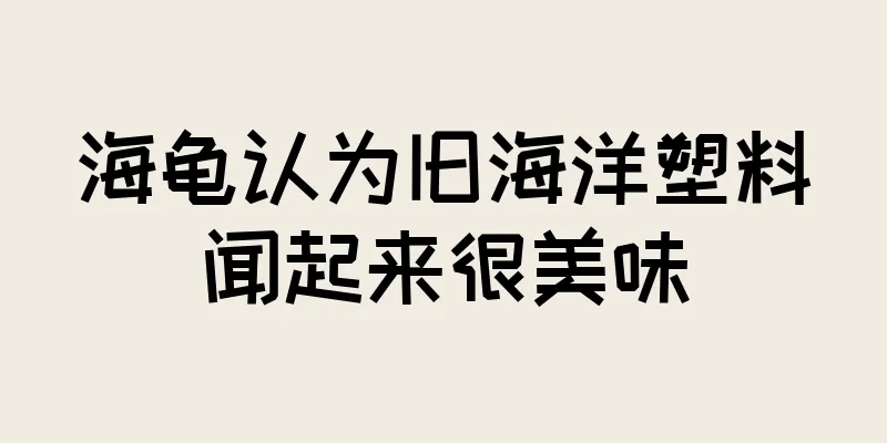 海龟认为旧海洋塑料闻起来很美味