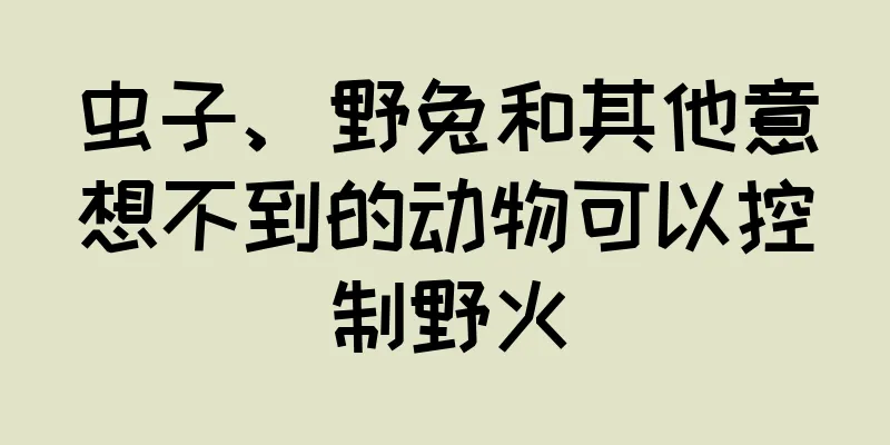 虫子、野兔和其他意想不到的动物可以控制野火