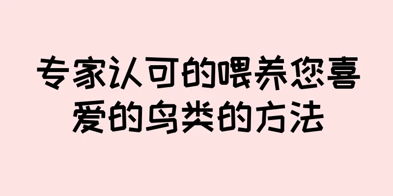 专家认可的喂养您喜爱的鸟类的方法