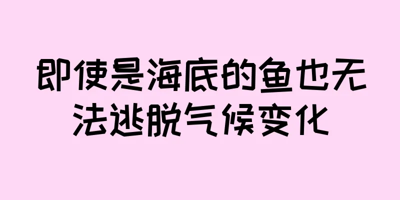即使是海底的鱼也无法逃脱气候变化