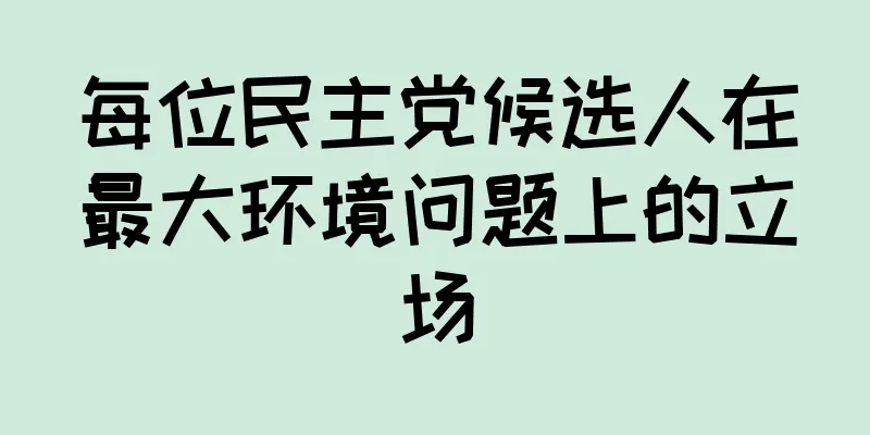 每位民主党候选人在最大环境问题上的立场