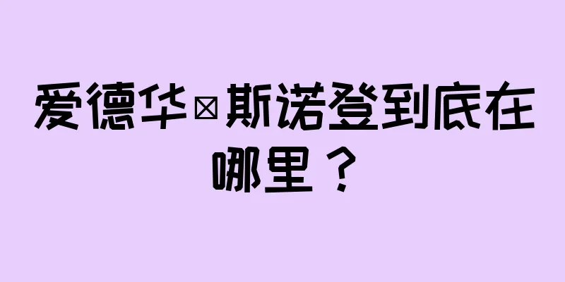 爱德华·斯诺登到底在哪里？