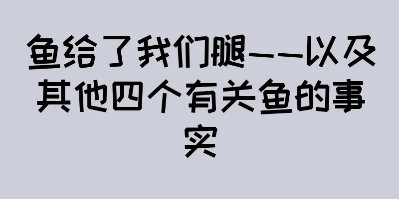 鱼给了我们腿——以及其他四个有关鱼的事实